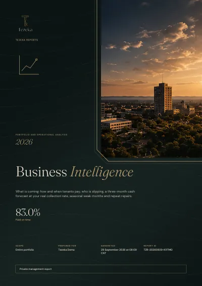 The cover of a Tezeka Business Intelligence report. Demo data.